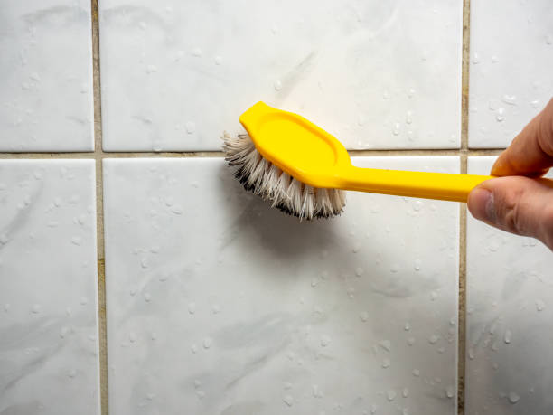 Best Mold Remediation Experts  in Fairburn, GA