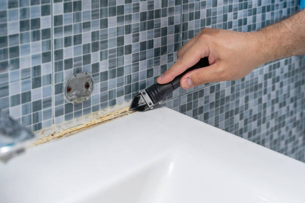 Best Local Mold Removal Service  in Fairburn, GA