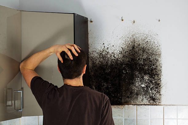 Best Home Mold Removal  in Fairburn, GA
